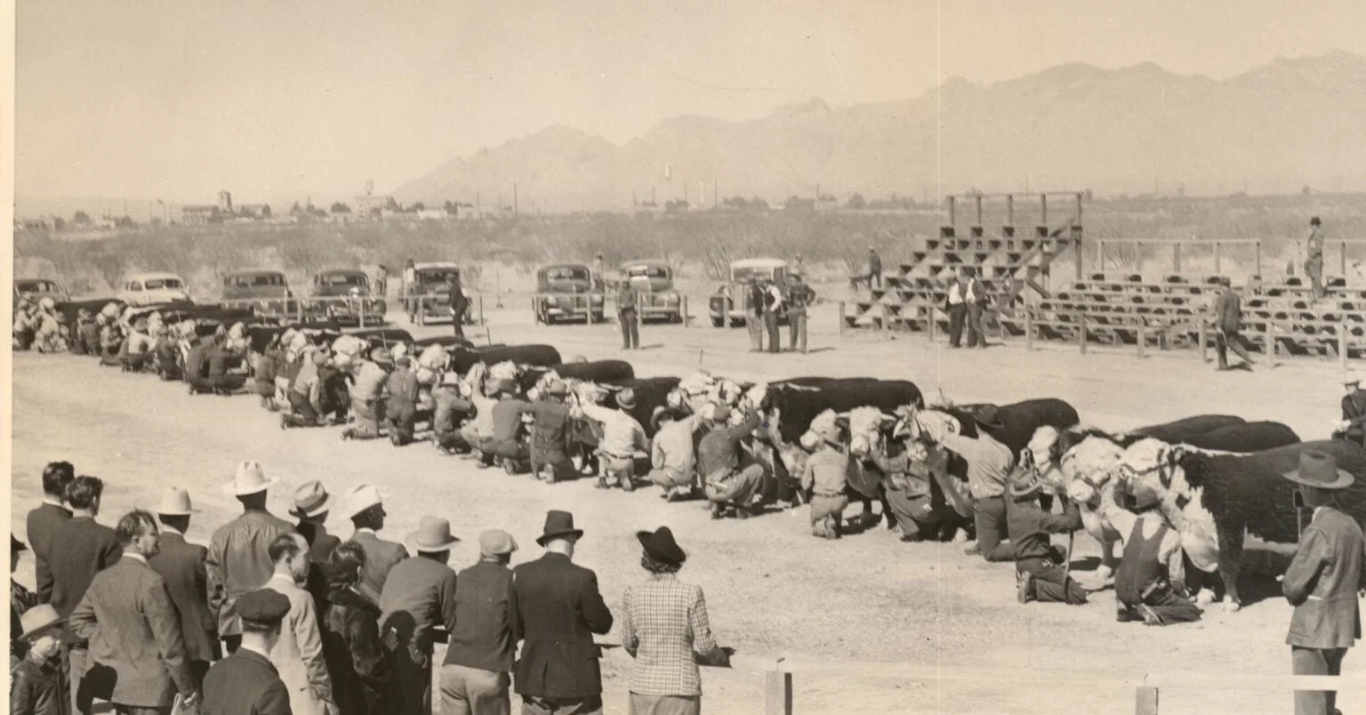 A Visual Walk Through Livestock Show Trends: 1900s to 2020s