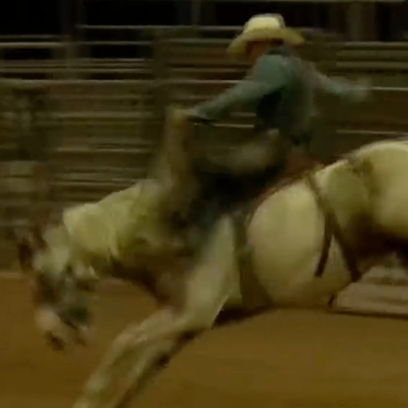 McNeese Rodeo Team Holds Costume Rodeo Fundraiser