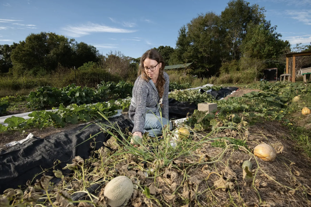 After a Year of Extreme Weather, Local Farmers Struggle