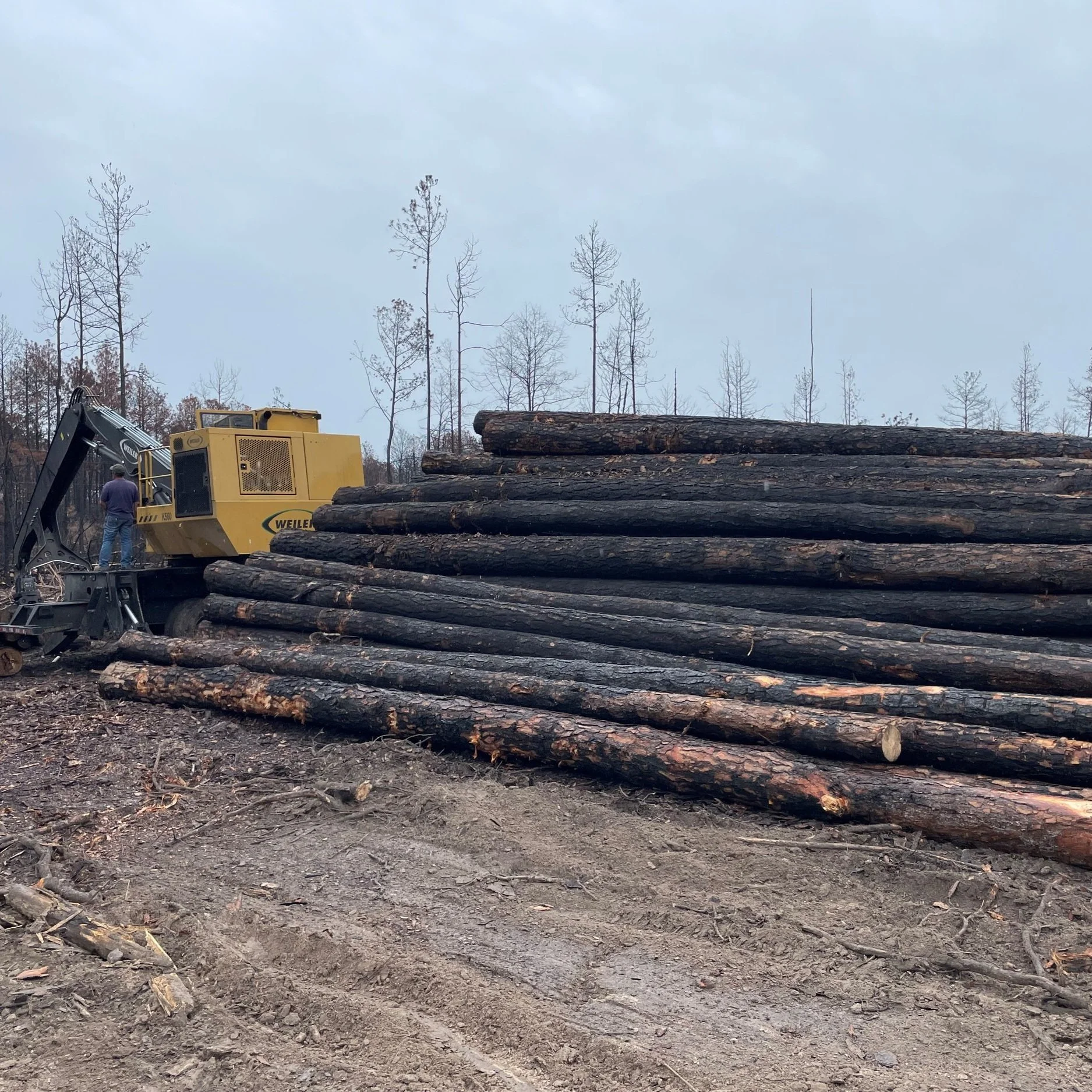 $71M In Timber Lost To Summer Wildfires; More Damage Expected