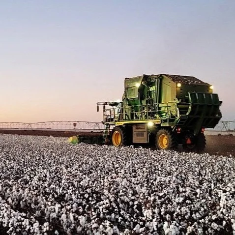 US Cotton Trust Protocol Acres Up 25%