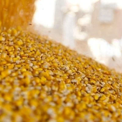 A Look At Average Corn, Soybean Yields In The Top 3 Countries