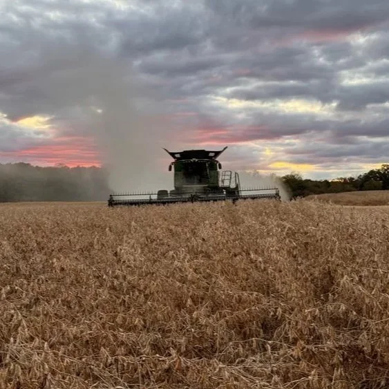 Louisiana is the First and Only State to Compete 2023 Soybean Harvest So Far