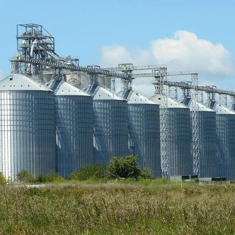 Group Seeks To Block Grain Elevator In St. John Parish
