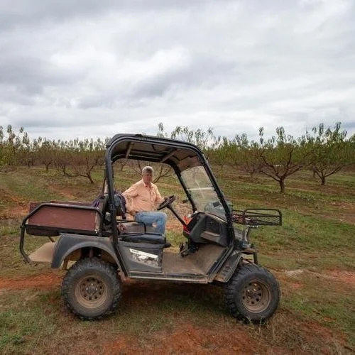 Why Louisiana's Iconic Ruston Peaches Are In Danger of Disappearing