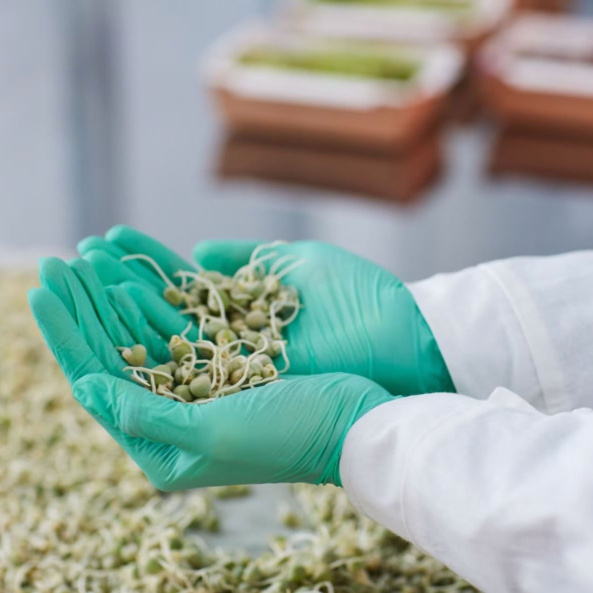 LDAF Seed Testing Laboratory's Seed Sample Results Now Available Online