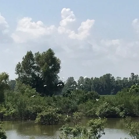 'Relatively Permanent' Could Be Next WOTUS Battleground