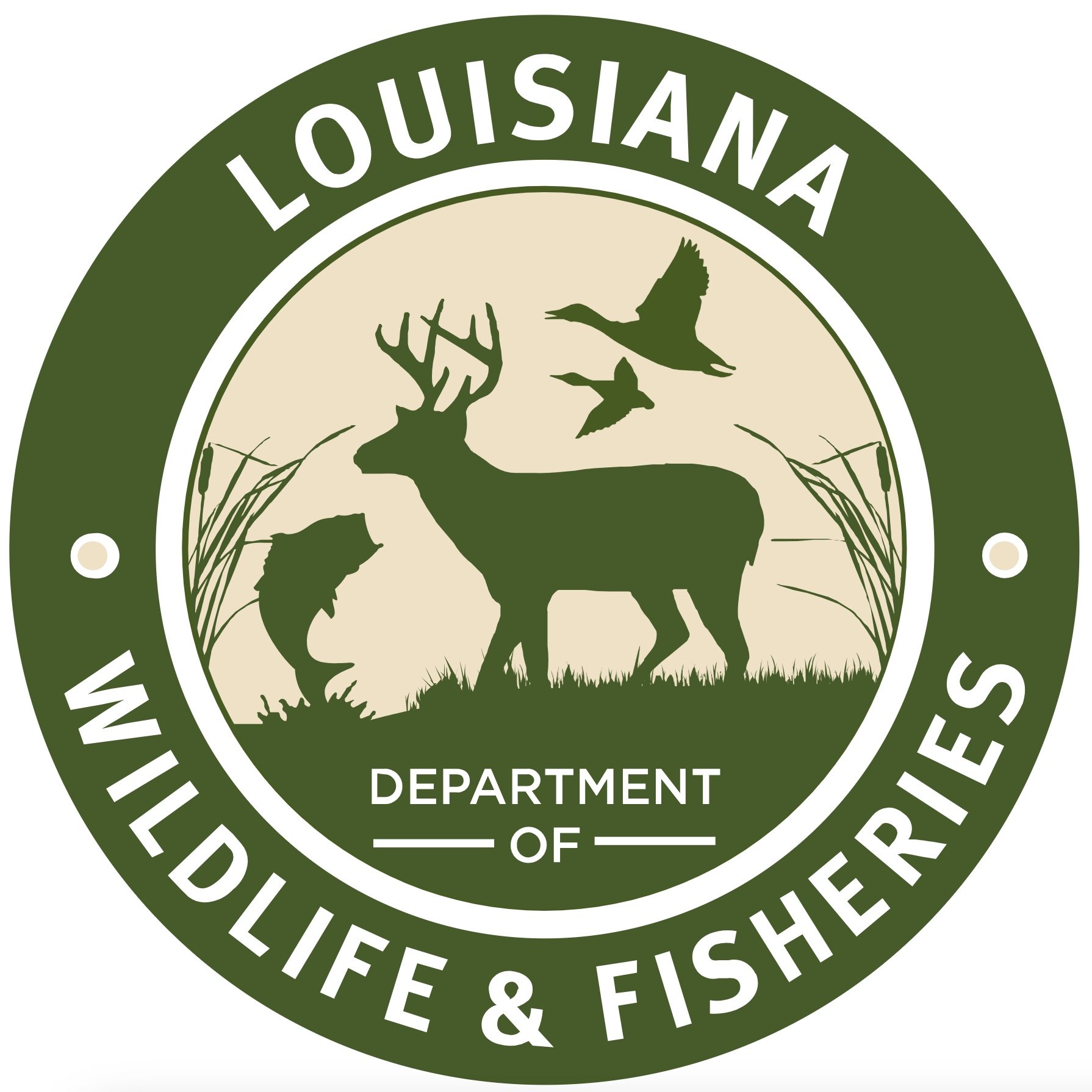 Three Men Face Deer Hunting Violations in Webster Parish