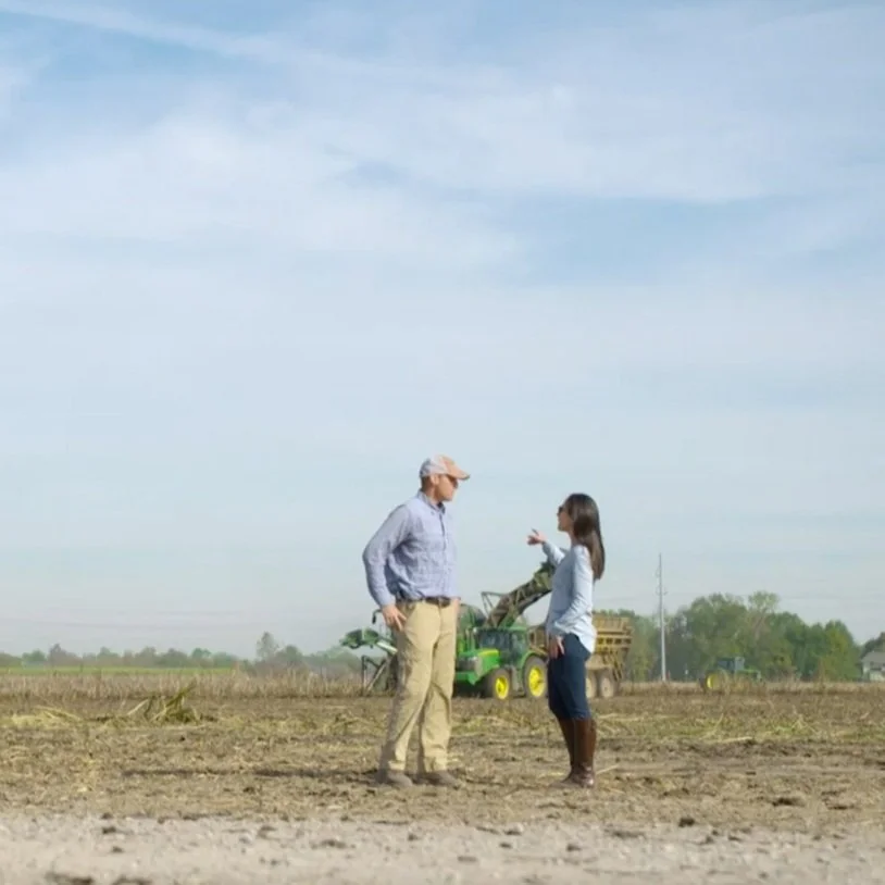 Candy Cane Producers Feel the Bite of Rising Sugar Prices