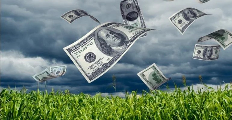 Projected ARC and PLC Payments for 2025