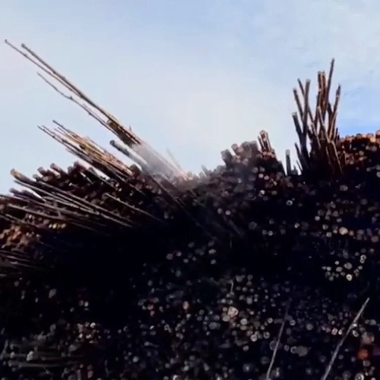 Louisiana Timber Industry Sees Financial Impact From Drought, Wildfires