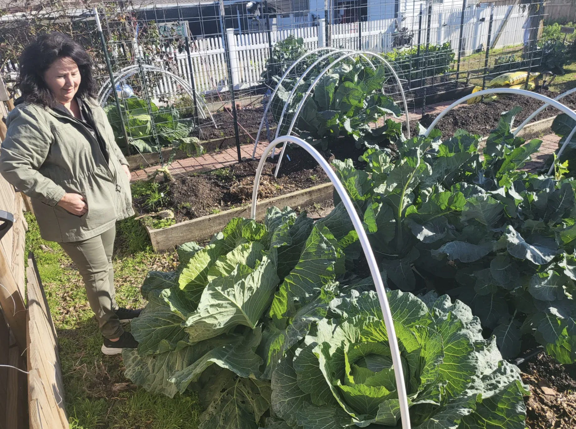 Woman Grew a Cabbage the Size of a Small Child, Setting Record for Massive Produce