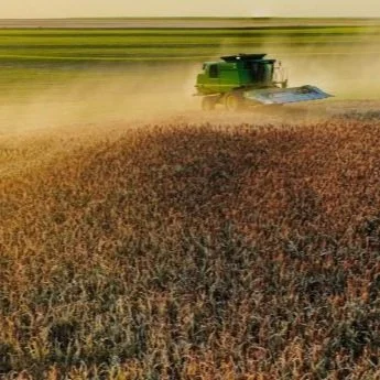 National Sorghum Foundation Announces 2024-2025 Scholarships