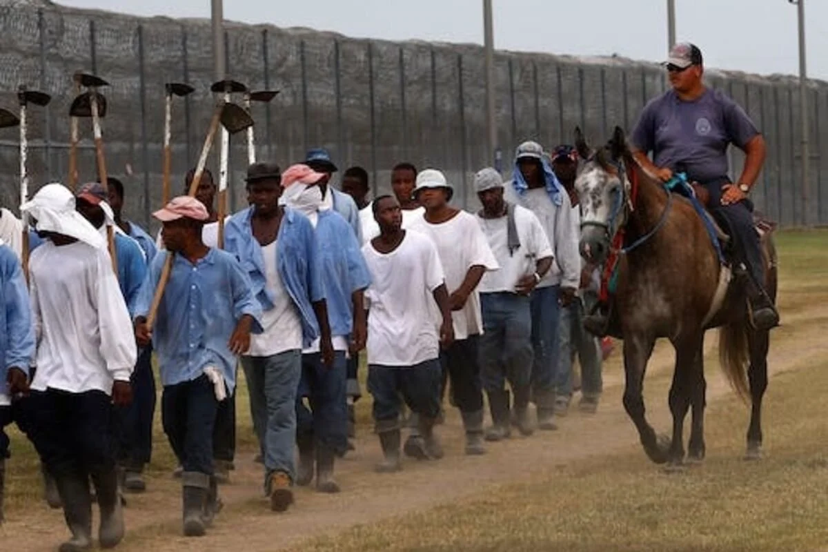 Prisoners in the US Are Part of a Hidden Workforce Linked to Hundreds of Popular Food Brands