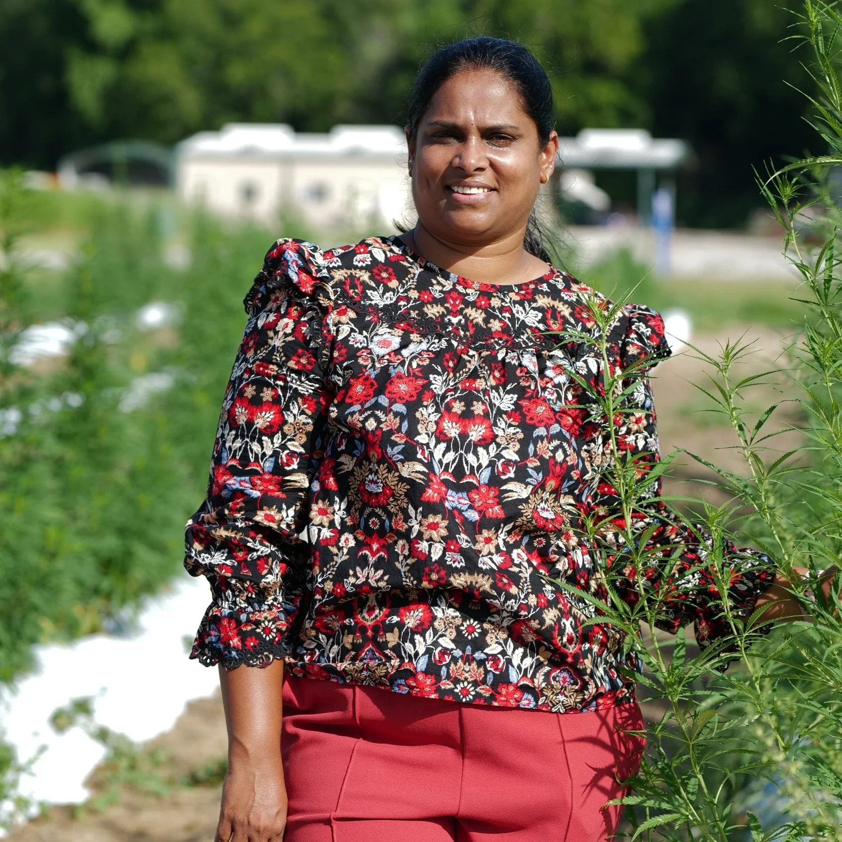Connecting With Her Family Farm In India Led Babitha Jampala To Plant Breeding