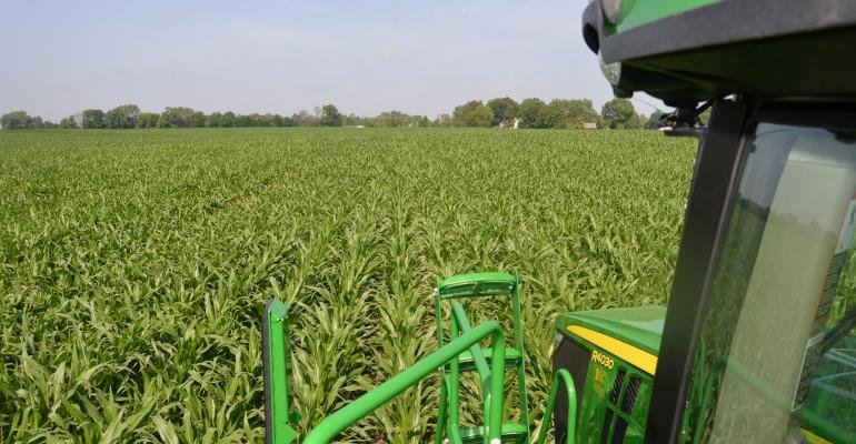 Increased Corn Acres Driving Higher Fertilizer Prices; Farmers May See Fuel Price Relief