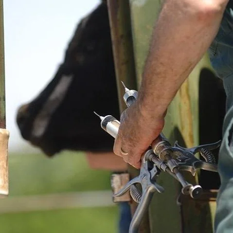 Trying To Stem a Rural Veterinary Crisis