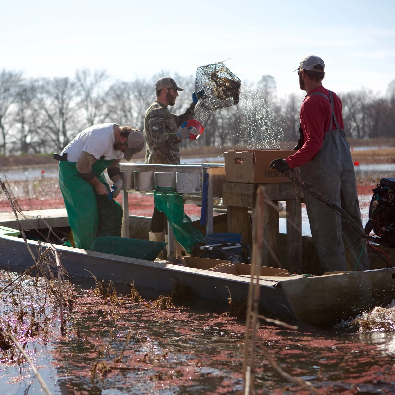 Louisiana Officials Request Federal Assistance for Crawfish Farmers