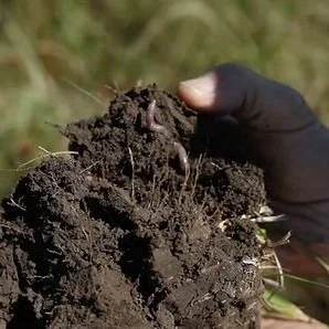 Louisiana Grazing Lands Conservation Initiative  Hosts Composting Workshop