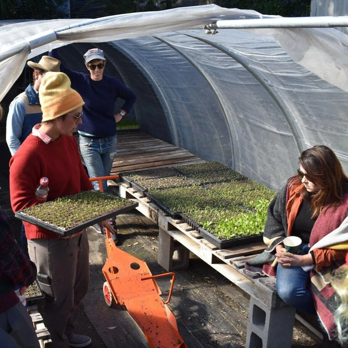 Everybody Wants a Farmers Market, 'But Nobody Has Farmers.' Grow Louisiana is Here to Help.