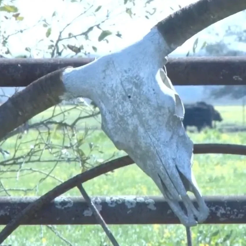LSU's Grow Louisiana Program is Looking to Give the Farming Industry a Much-needed Boost