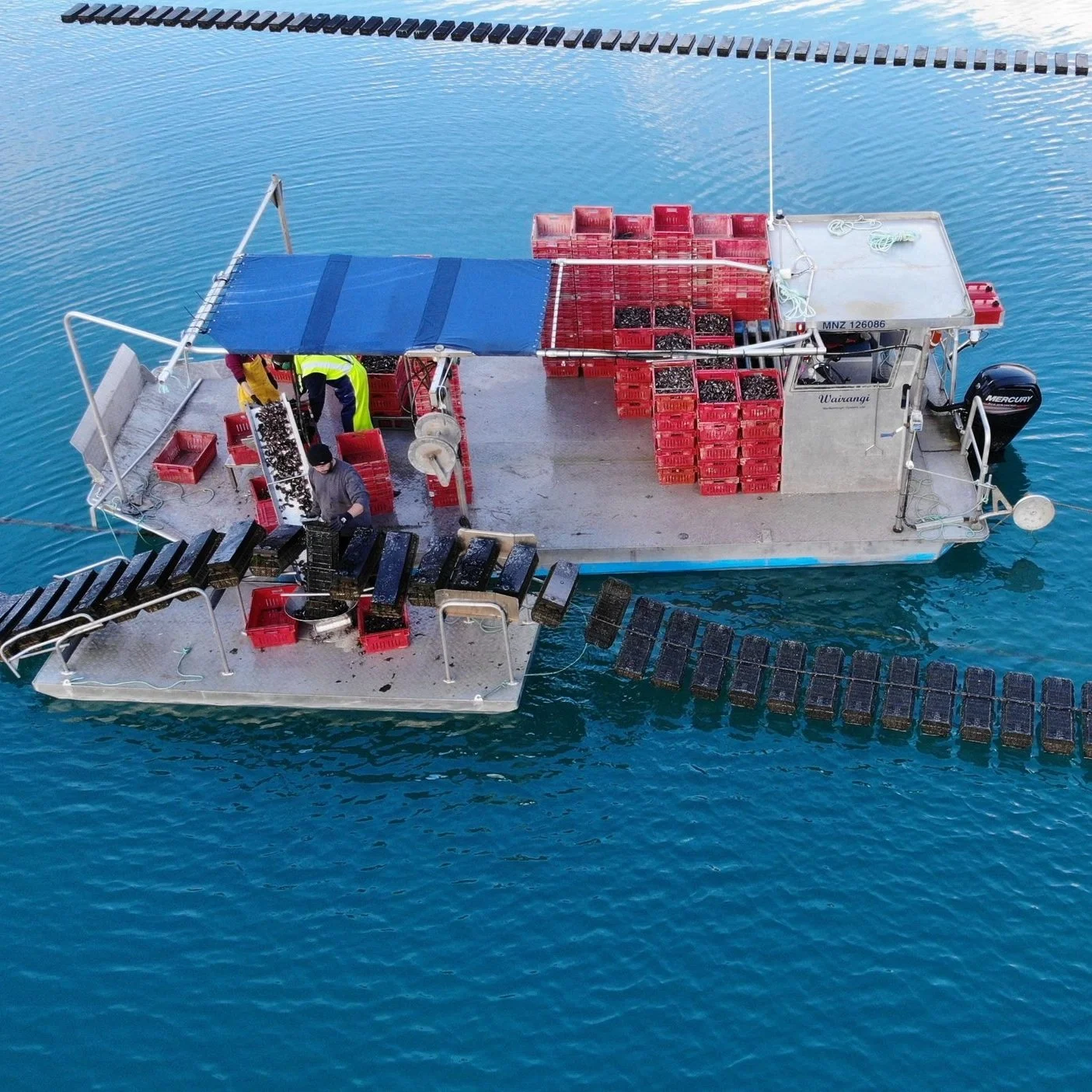 Automating Oyster Farming: FlipFarm Launching Two Products Set to Redefine Efficiency and Productivity in Oyster Aquaculture