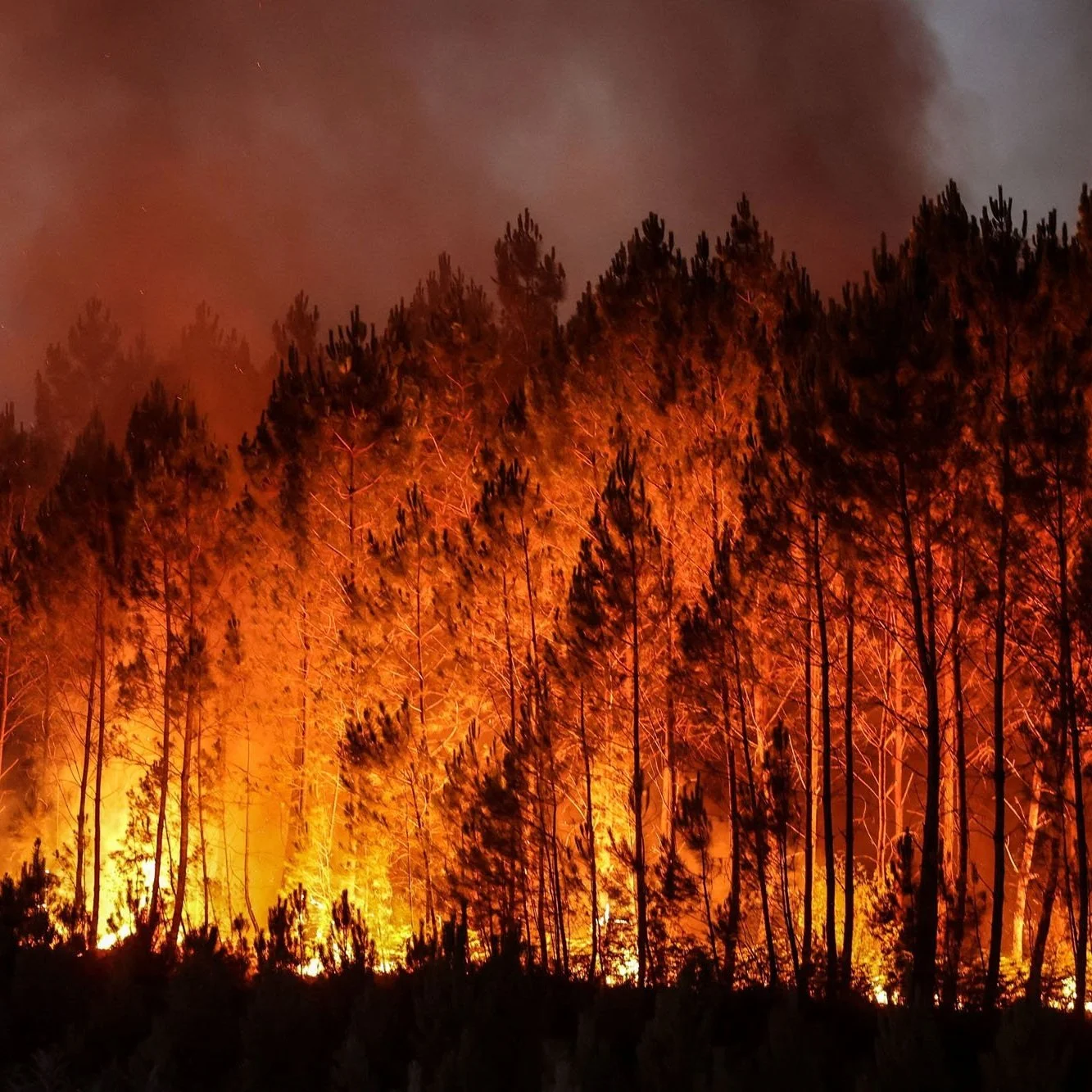 Burn Bans Lifted Across Southwest Louisiana, but Officials Warn Restrictions May Return