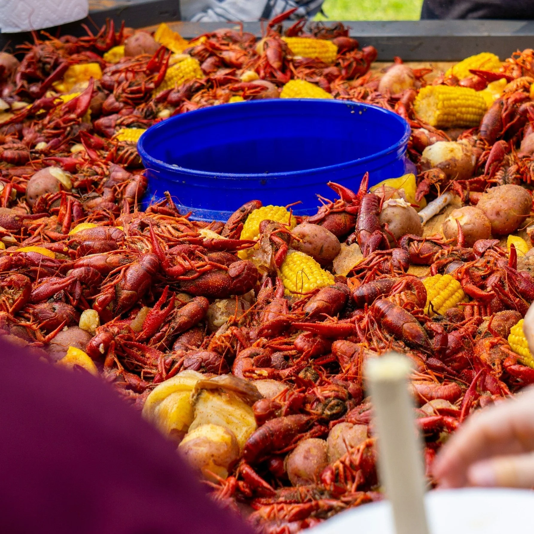 Proposed Bill Could Help Crawfish Farmers