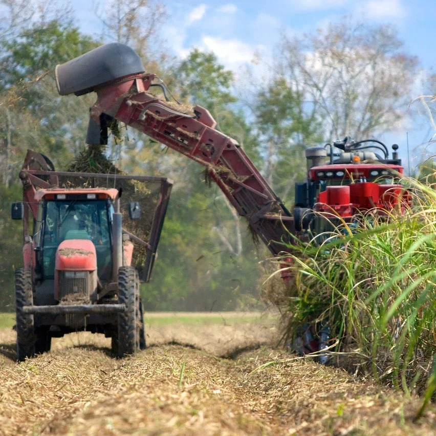 Soaring Sugar Prices and Mexican Drought Challenges USDA's Supply Management