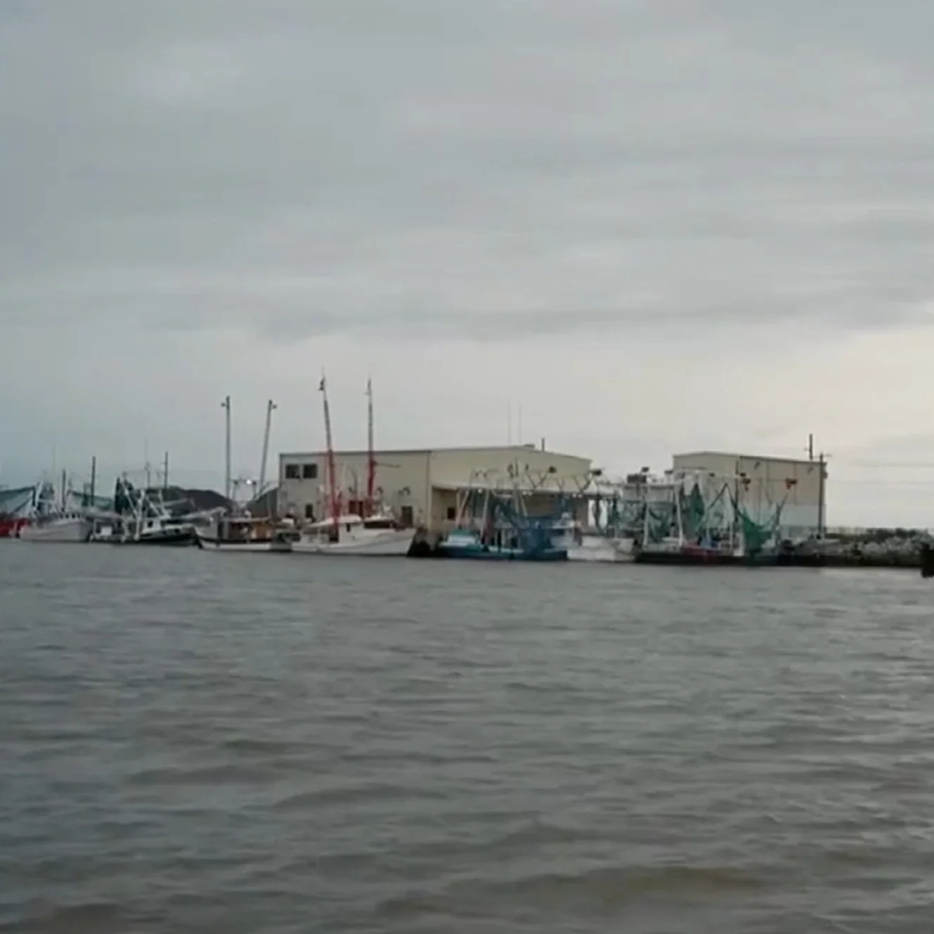Alternative Oyster Culture,  A New Way Of Farming, Introduced in Cameron Parish