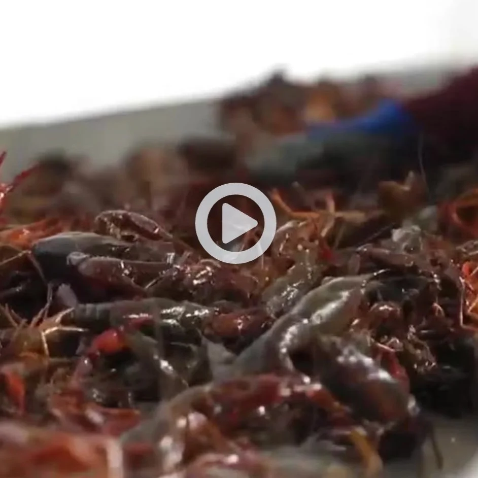 Good Friday Crawfish Prices Surge