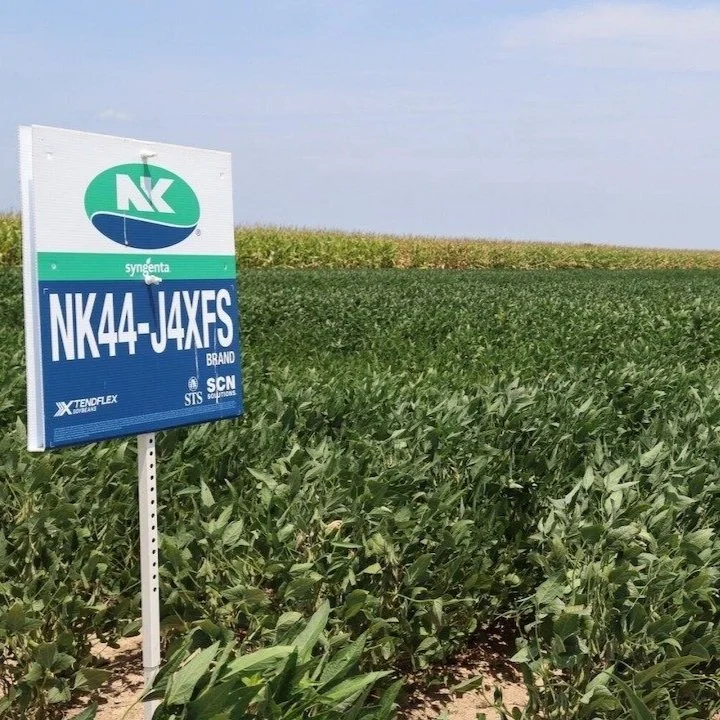 La. House Committee Approves Bill to Prohibit Land Sales to Foreign Foes