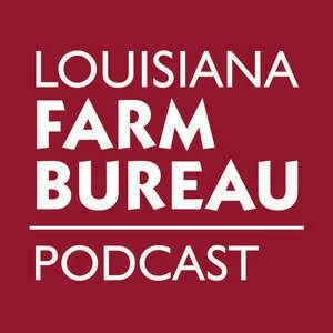 Louisiana Farm Bureau Podcast: State Politics Update