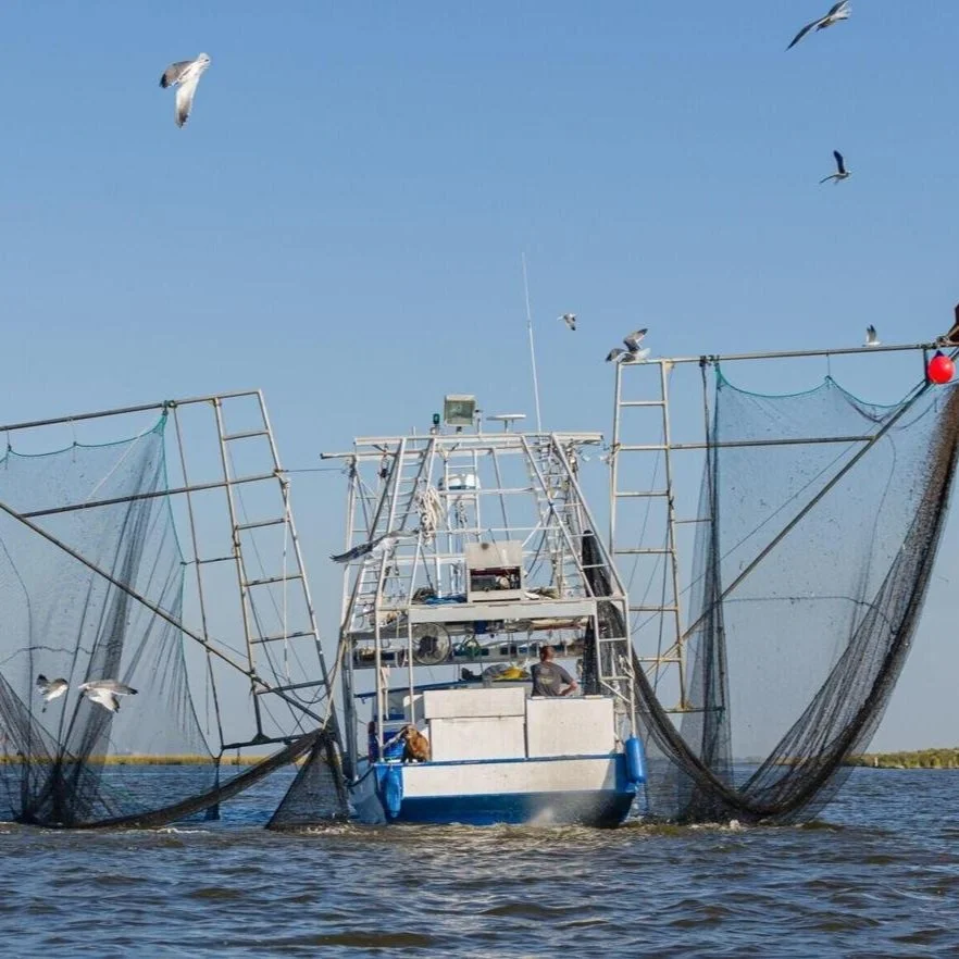 Louisiana Lawmakers are Considering a Batch of Bills to Safeguard the State's Seafood Industry