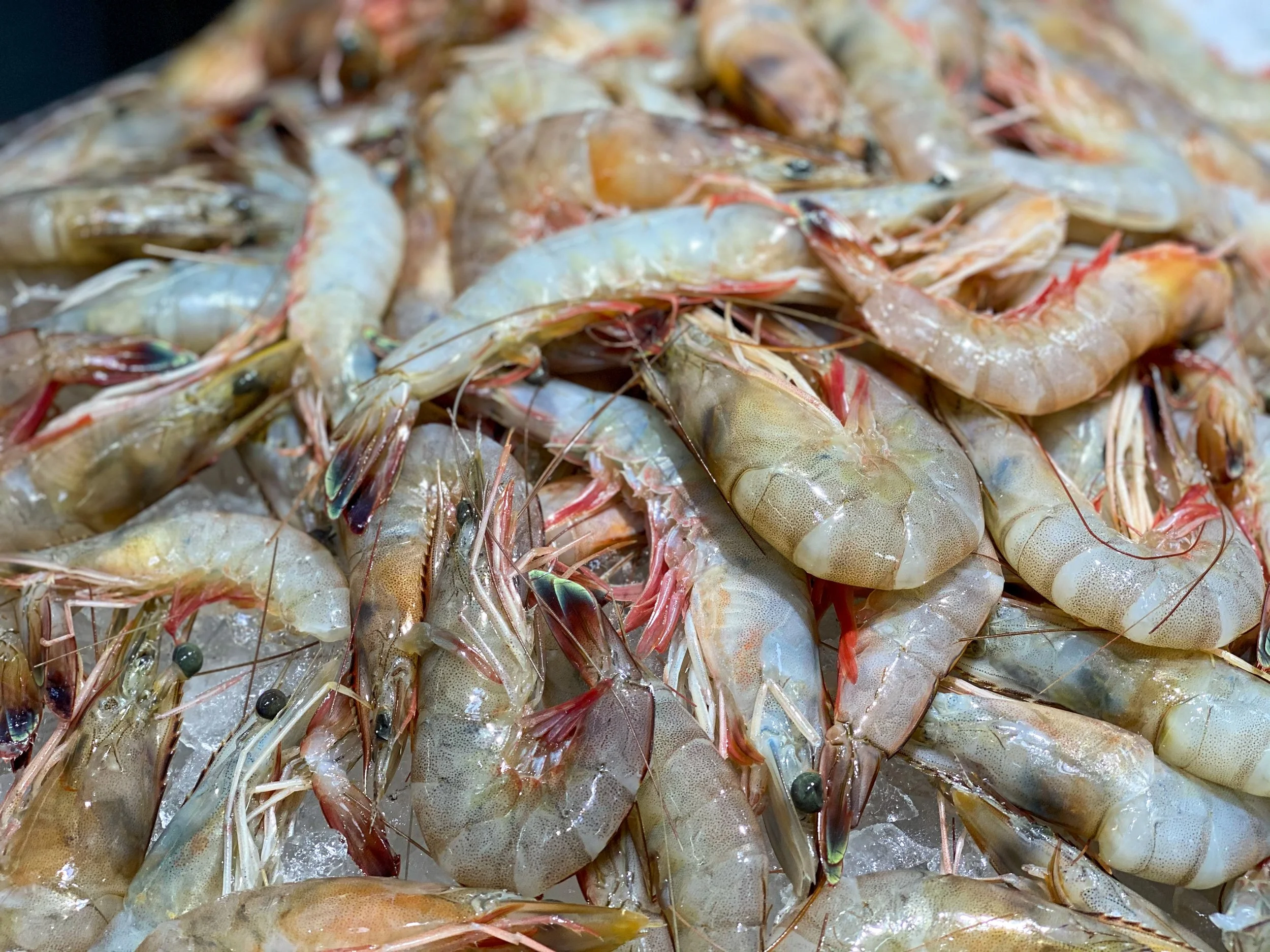 Louisiana Looks to Put More Bite in Its Imported Seafood Laws