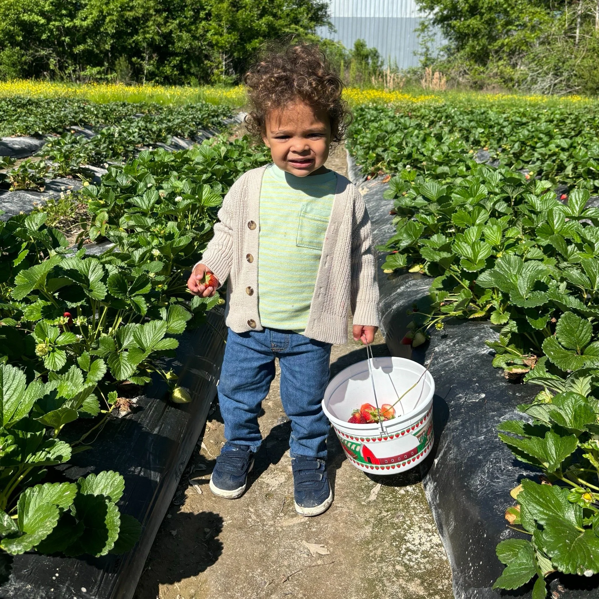 The Pick of the Patch: Agritourism Aids Learning