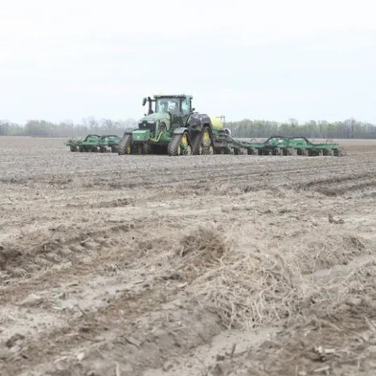 Louisiana Corn Planting Starts Slow in 2024