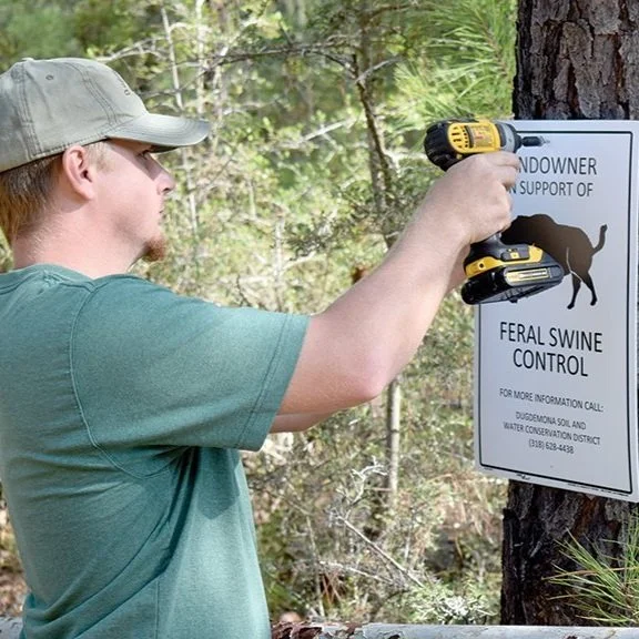 Hog Eradication Not Pretty, but Essential