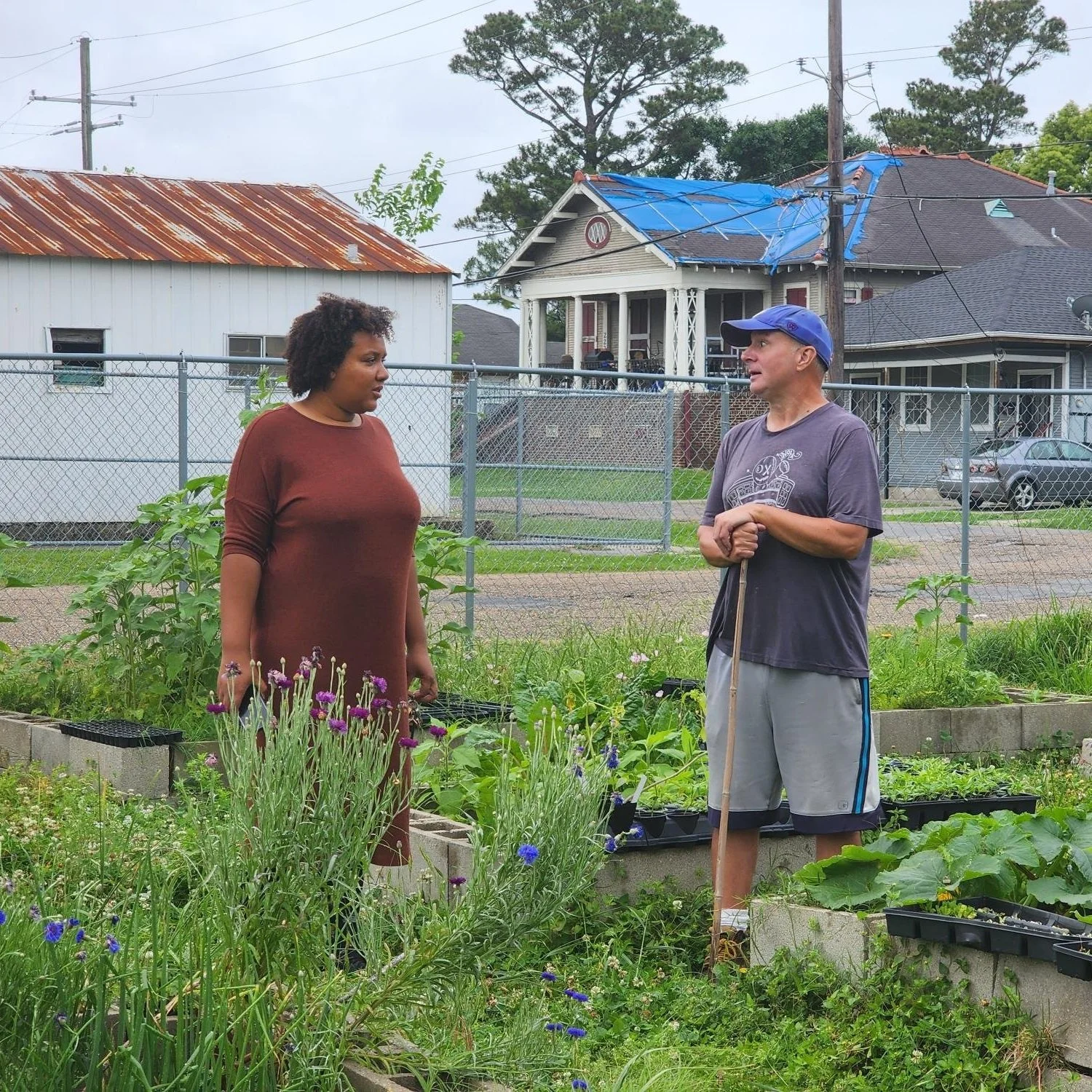 Barcelo Gardens Providing Farm Fresh Food on Urban Land