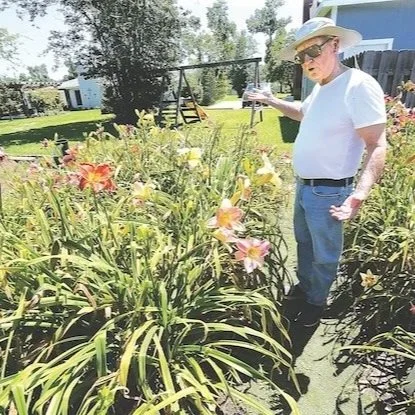 John Bradford Doesn’t Just Grow Daylilies, He Makes New Varieties of Them