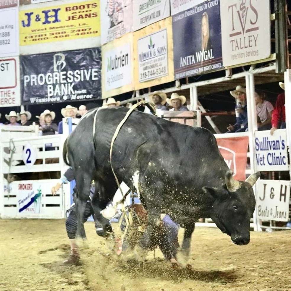 PRCA Rodeo to Bring Cowboys, Revenue to Town