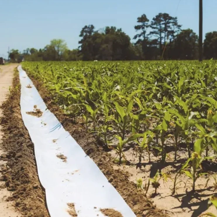 Step by Step: Building Quality Irrigation and Soil Health