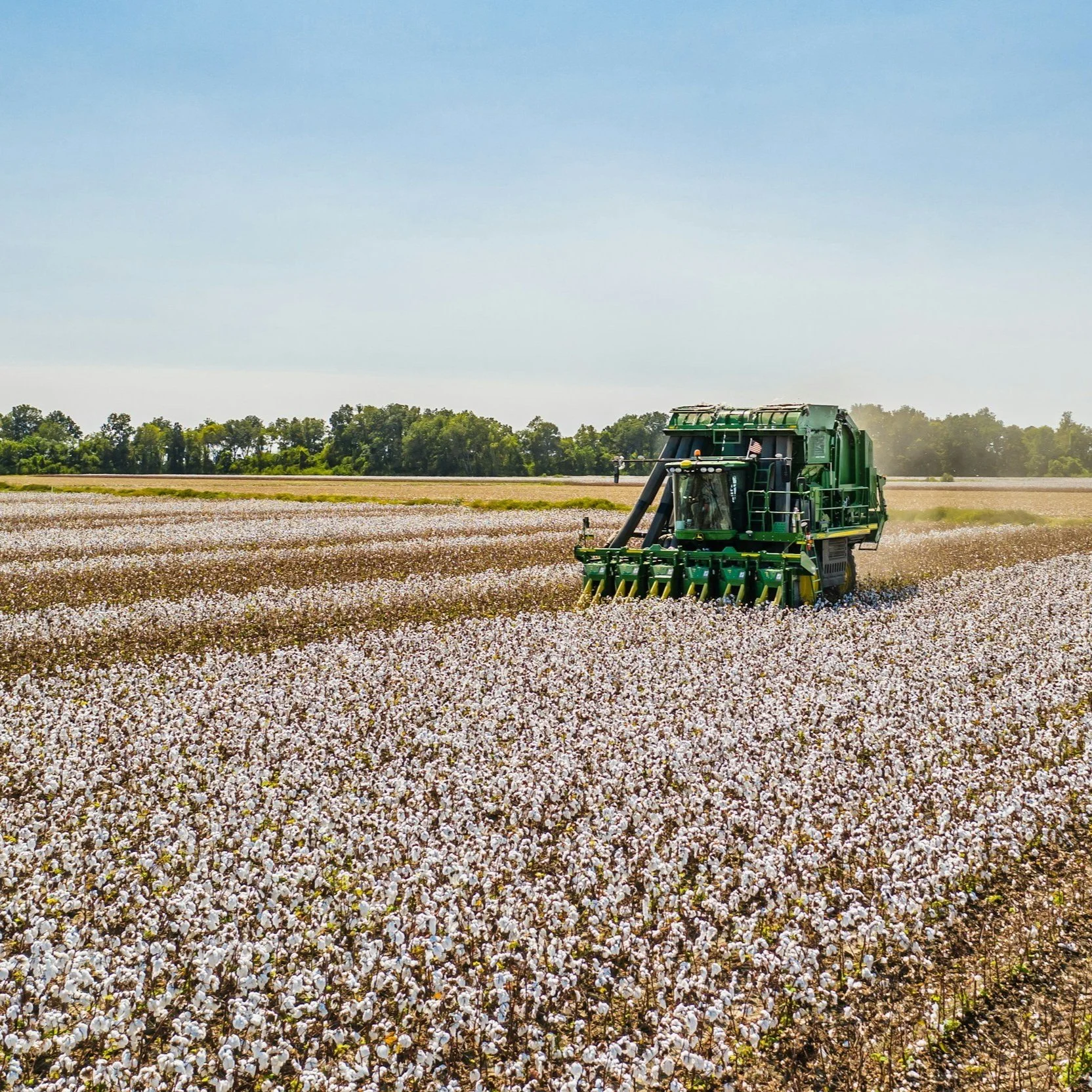 Another Second Chance Price Rally Still Not Enough For Cotton 