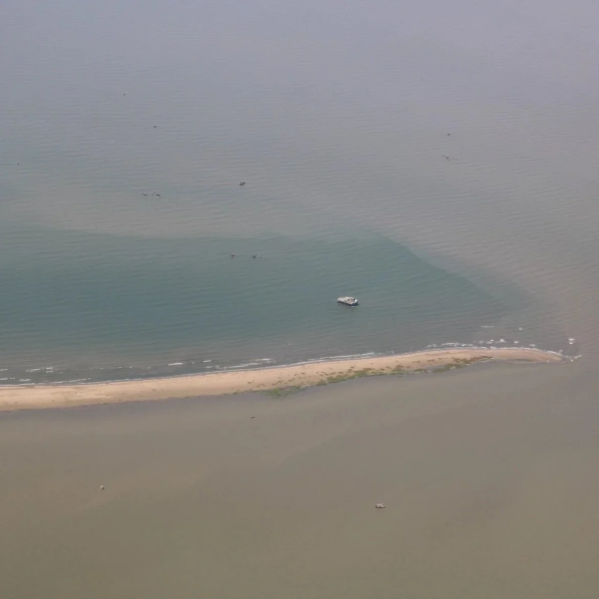 ‘Dead zone’ in the Gulf of Mexico Predicted to be Bigger than Average this Summer