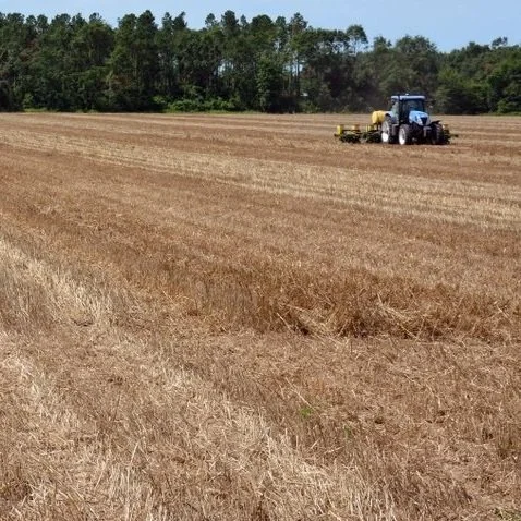 Southeast Farmland Value Continues To Climb