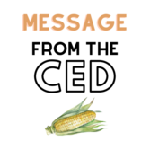 Message from the CED: Terrie Robinson