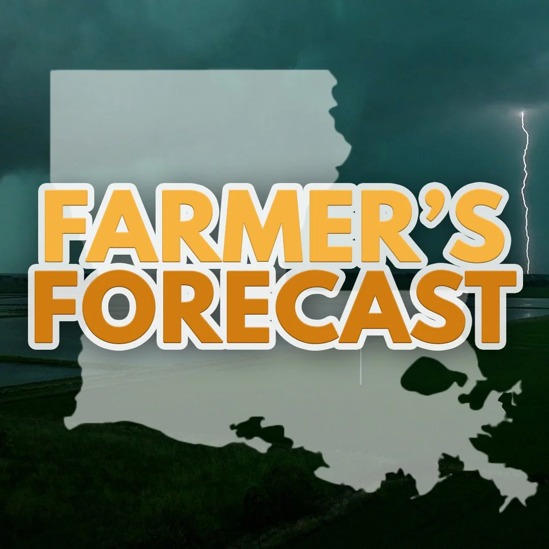 The Farmer's Forecast: Rain and Heat