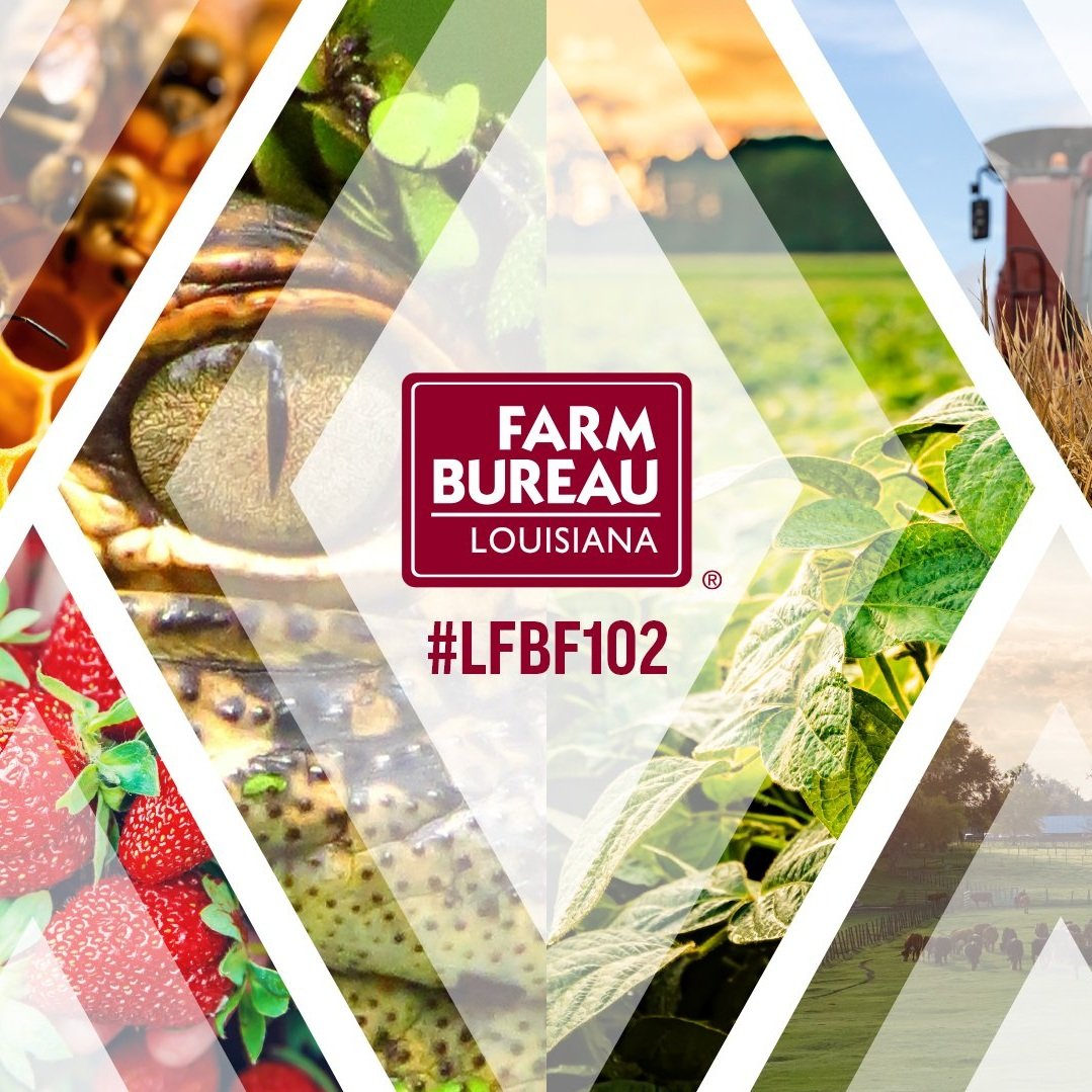 Louisiana Farm Bureau Just Wrapped Up Its Annual Meeting to Discuss State Industry Issues