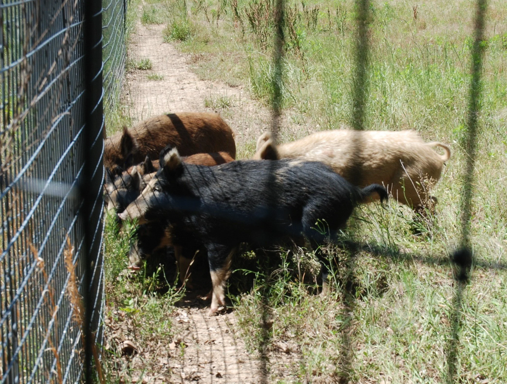 Farm Progress America, June 27, 2024