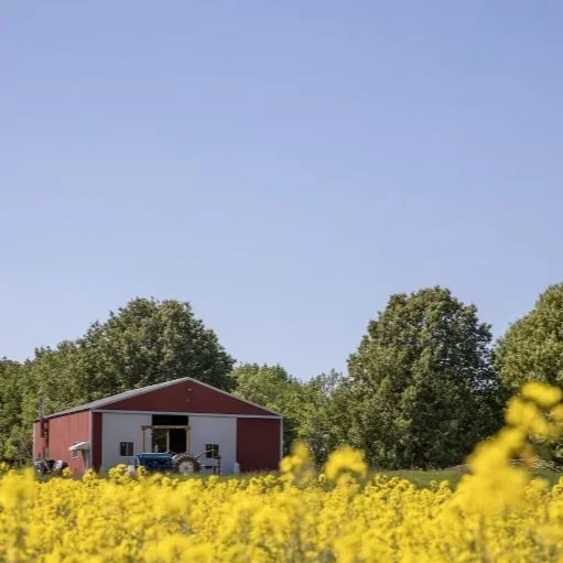American Farmers’ Next Hot Commodity Is Canola for Biofuels